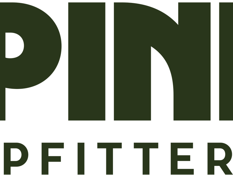 2Pines Upfitters: Custom Van Conversions Across Canada & North America